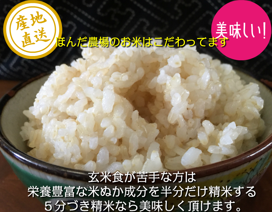 令和3年産 新米 お米 5kg 石川県産 白米 玄米 5分づき精米 無洗米 からお選びください。：ほんだ農場店