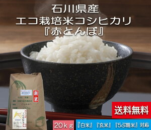令和7年産 新米 コシヒカリ 20kg 送料無料 コメ こめ 白米 「加賀百万石 『赤とんぼ米』 こしひかり 石川県産・減農薬