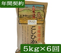 楽天市場】コシヒカリ 種籾の通販 6kg 豊コシヒカリ 種籾 無農薬天日干し