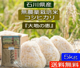 令和5年産 新米 お米 5kg 【送料無料】無農薬 白米 玄米 5分づき精米「大地の恵み」 EM農法 無農薬栽培米 安心安全 コシヒカリ 石川県産 白米 玄米 5分づき精米 無洗米 からお選びください。