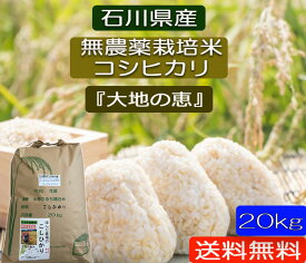 令和5年産 新米 20kg 【送料無料】無農薬 「白米」「玄米」「5分づき精米」「 無洗米」「大地の恵み」 EM農法 無農薬栽培米 安心安全コシヒカリ 令和5年産 石川県産［無農薬/EM菌］ 新米 離乳食