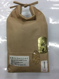 【送料無料】令和5年産 北野さんのこしひかり食用玄米 2kg