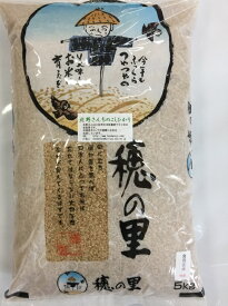 送料無料「北野さんのこしひかり」玄米 5kg・令和5年産 新米 コシヒカリ・石川県産