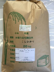 送料無料 「北野さんのこしひかり」玄米 20kg・令和5年産 新米 コシヒカリ・石川県産