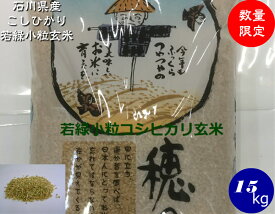 令和5年産 若玄米 送料無料 コシヒカリ若緑小粒玄米 15kg