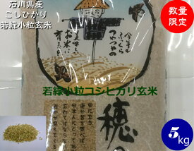 令和5年産 若玄米 送料無料 コシヒカリ若緑小粒玄米 5kg