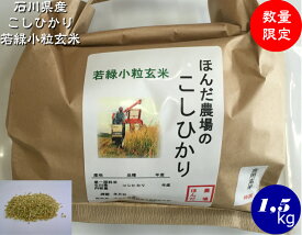 令和5年産 新米 若玄米 コシヒカリ 緑玄米 若緑小粒玄米 1.5kg