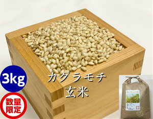 ߘa7NY V āE3kgiJOj[ݕāE`̔]