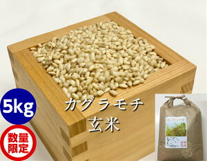 ߘa7NY V āE 5kgiJOj[ݕāE`̔]