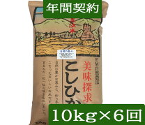 楽天市場】コシヒカリ 種籾の通販