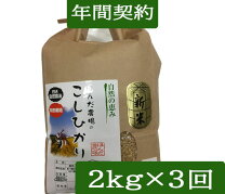 楽天市場】新米 令和6年産 30kgの通販