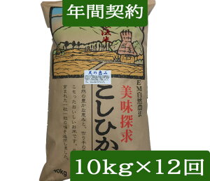 yNԌ_zyzuR_@ Ђ V̌b݁v10kgE12񔭑ߘa7NY mꊇn_Eʍ͔|āuwv