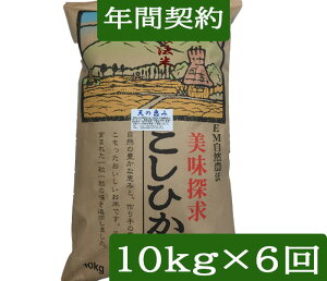 yNԌ_zyzuR_@ Ђ V̌b݁v10kgE6񔭑 ߘa7NY V mꊇn_Eʍ͔|āiwj