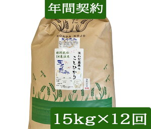 yNԌ_zyzuR_@ Ђ V̌b݁v15kgE12񔭑ߘa7NYmꊇn_Eʍ͔|āiwj