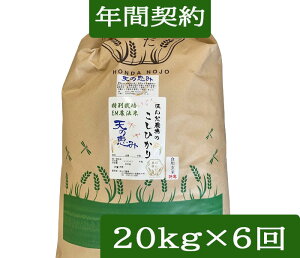 yNԌ_zyzuR_@ Ђ V̌b݁v20kgE12񔭑ߘa7NYmꊇn_Eʍ͔|āiwj