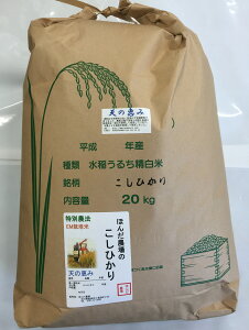 ߘa7NY V  20kg  uR_@ Ђ V̌b݁v ʍ͔|   5Â 炨IтB_ ΐ쌧Y m_ARVqJAR_@AāA