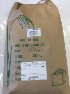 ߘa7NY V  20kg  Җ{̓ʍ͔|ĂЂ RVqJ Vc ̓ ̓ Mtg