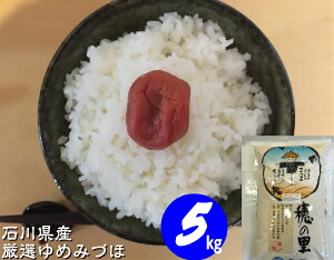 ߘa7NY V  5kg yz ΐ쌧YuꌵI ߂݂Âفv  5ԂÂ 炨IтB