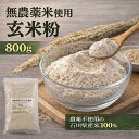 【送料無料】玄米粉 800g 無農薬 有機栽培米使用国産 米粉 有機米粉 石川県産 玄米100％ メール便
