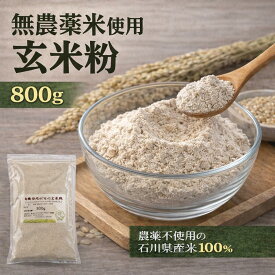 【送料無料】玄米粉 800g 無農薬 有機栽培米使用国産 米粉 有機米粉 石川県産 玄米100％ メール便