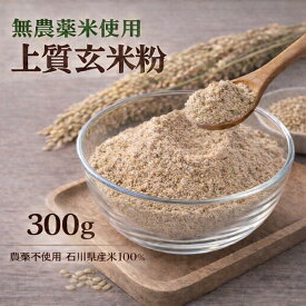 無農薬米使用 上質玄米粉（米粉・玄米粉）300g 石川県産米100％ 国産グルテンフリー 玄米パウダー 製菓 製パン 料理用 メール便 送料無料