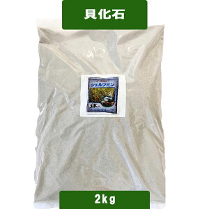 �L���΁u�V�F���t�~���v2kg