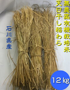 yzu_āEL@͔| ̈12kgi40jvmmAAAAkA݊kA̔ni_j