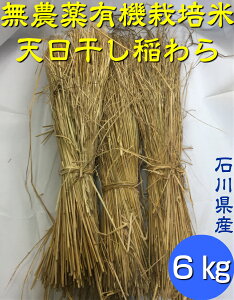yzstu_āEL@͔| ̈muv6kgu20vΐ쌧YvmmAAAAmAkA݊kA̔nu_v