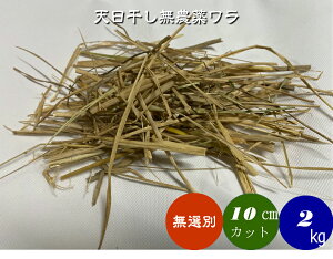 yzu_āEL@͔| ̖IʍׂJbgm@2kgzցm10cmOJbgmAAAAmAkA݊kA̔nu_v