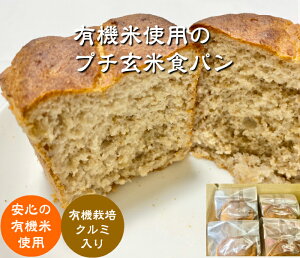 yz_EL@͔|100gp̌ĕiĕjŃOet[ v`ĐHp 16Zbg yv[zyN~z y[Yzy܁zuⓀv yɌĐH