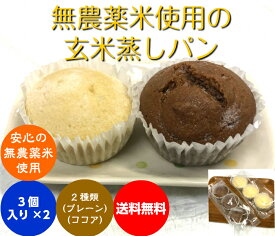 楽天市場 蒸しパン 冷凍の通販