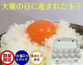 予約受付【送料無料】 大寒たまご 大寒卵 大寒玉子 卵 加賀の朝日 【美野里 10個入り 3パック】 卵 玉子