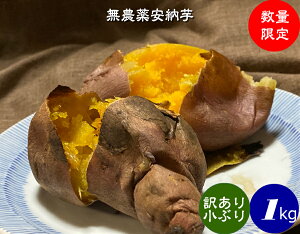  _ EM_@ 킯 [i܂j11kgyL@JASF؁z ܂ [ Y ΐ쌧YEEMہzԂ 