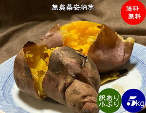  _ EM_@ 킯 [i܂j15kgyL@JASF؁zL@͔| ܂ [ Y ΐ쌧YEEMہzԂ 