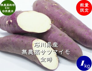 送料無料 無農薬 EM農法 わけあり 金時(さつまいも)1袋1kg【無農薬 さつまいも サツマイモ 国産 石川県産・EM菌】