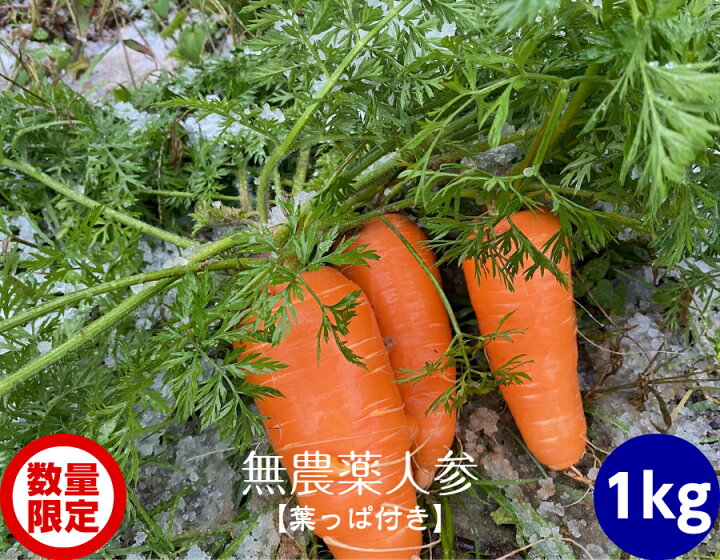楽天市場 送料無料 無農薬 Em農法 人参 葉っぱ付き泥付き にんじん １袋１ｋｇ 無農薬 有機 人参 にんじん ニンジン Carrot 国産 石川県産 ｅｍ菌 ほんだ農場楽天市場店