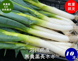  _ EM_@ lM 10{ y_ R_@Y ΐ쌧YEEMہz