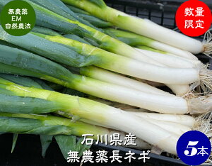  _ EM_@ lM 5{ y_ R_@Y ΐ쌧YEEMہz