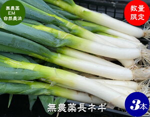  _ EM_@ lM 3{ y_ R_@Y ΐ쌧YEEMہz