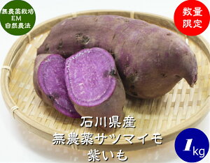 送料無料 有機栽培 EM農法 わけあり 紫いも(さつまいも)1袋1kg【有機JAS認証】無農薬 さつまいも 紫芋 国産 石川県産・EM菌】小ぶり 傷あり