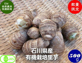 楽天市場 じゃがいも 種芋 総重量 野菜 500 999g の通販