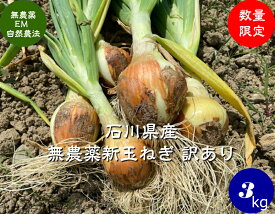 送料無料 EM農法・無農薬栽培・【訳あり】新玉ねぎ・石川県産 約3kg［無農薬・たまねぎ・国産・EM菌］