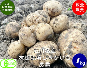 L@  Ⴊij݁j1kgsJAStEM_@m_AL@ WKCAEMہn