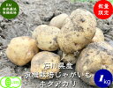 【送料無料】有機 野菜 じゃがいも（キタアカリ）1kg《JAS》EM農法［無農薬、有機 ジャガイモ、EM菌］