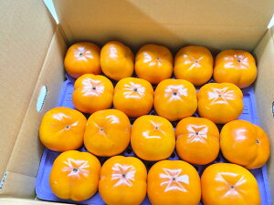  GR͔| Y` MTCY 18 y3zߘa6NY Y ΐ쌧Y