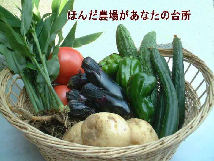 楽天市場】有機栽培・無農薬・夏野菜 セット【1,260円セット】［夏野菜  