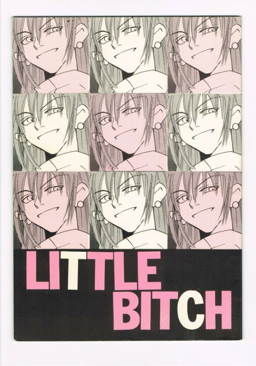 楽天市場 明稜帝梧桐勢十郎 Little Bitch 無法ゲリラ 女性向同人誌 中古 Afb ほんダフル