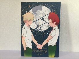 『送料無料！』僕のヒーローアカデミア -再録集- /PiPiPi /〈女性向同人誌〉【中古】afb