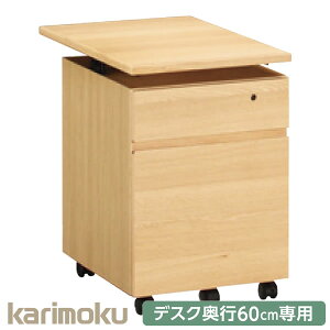 JN wKƋ Utility plus [eBeBvX fXNs60cmp S 41cm SS0476