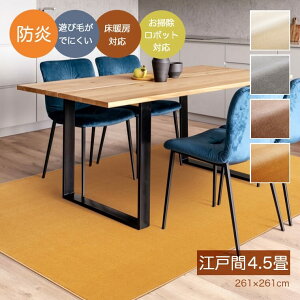 ���O �h�� �J�[�y�b�g �V�ііh�~ �������𖾂邭����V���v���ȃ��O �j�[�� 261×261cm �]�ˊ�4.5�� �v���[�x�� �O�~ ���イ���� ���r���O �Q�� �_�C�j���O ���|�����{�b�g �����o �z�b�g�J�[